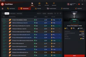 대형 토너먼트 새틀라이트