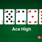 An example of Ace High in poker, made with Ad 8s 4s 5h 9d.