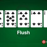An example of Flush in poker, made with 8c 9c 7c 4c Ac.