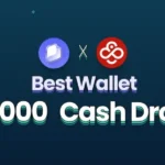 Best Wallet $1,000 Monthly Cash Drop