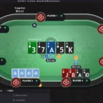 How to Play Pot-Limit Omaha: PLO Rules, Hand Ranks & Odds 
